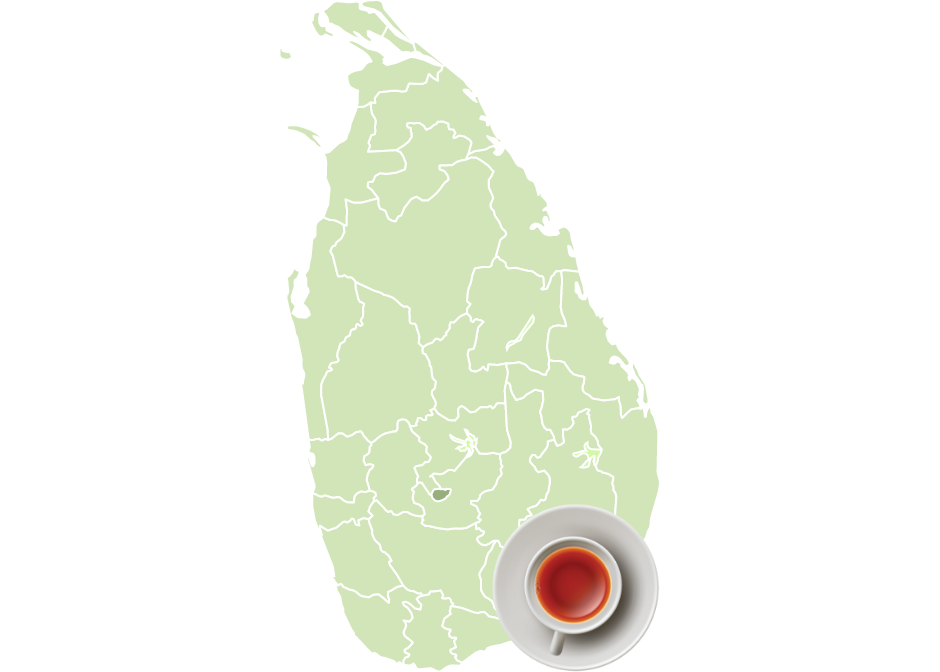 Ceylon Tea region