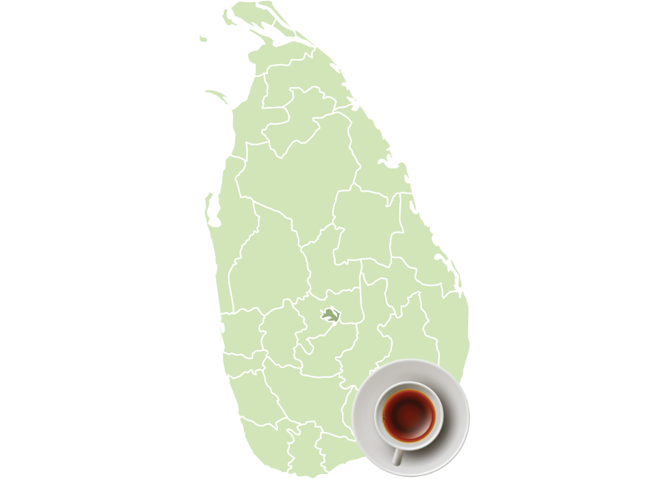 Ceylon Tea region