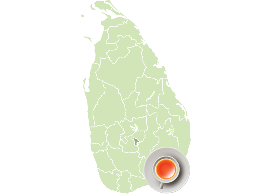 Ceylon Tea region