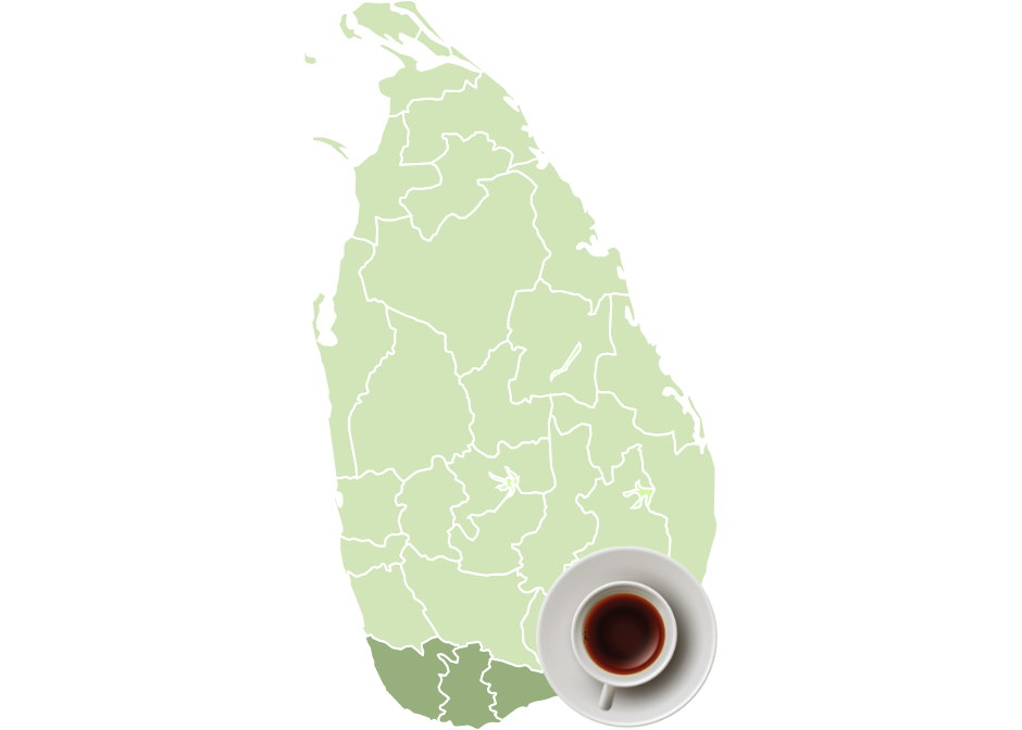 Ceylon Tea region