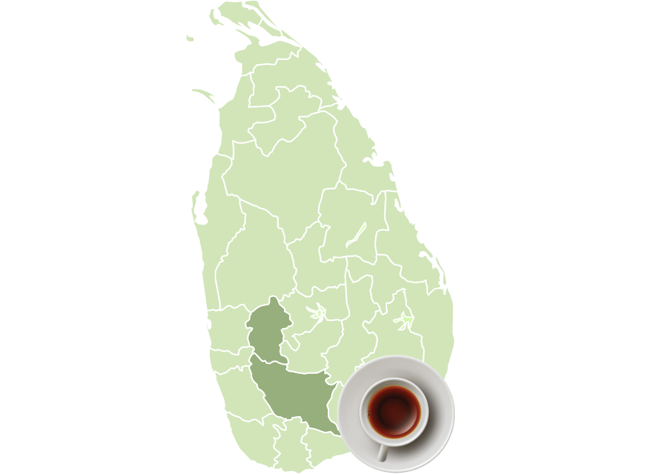 Ceylon Tea region