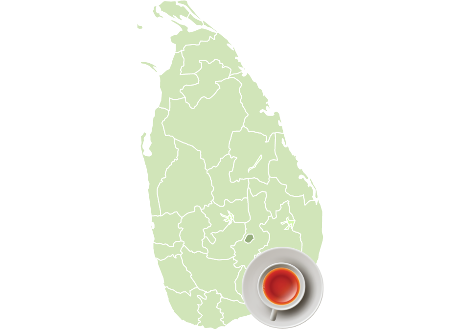Ceylon Tea region