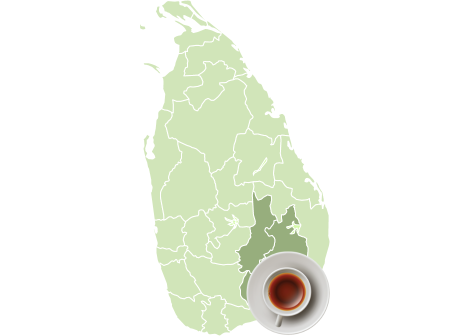 Ceylon Tea region